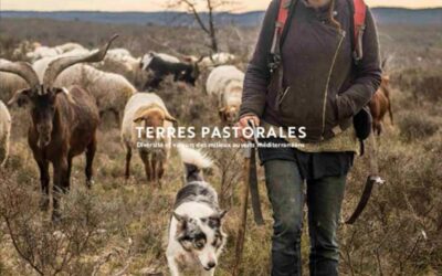 Nouvel ouvrage de la Réserve naturelle du Gardon