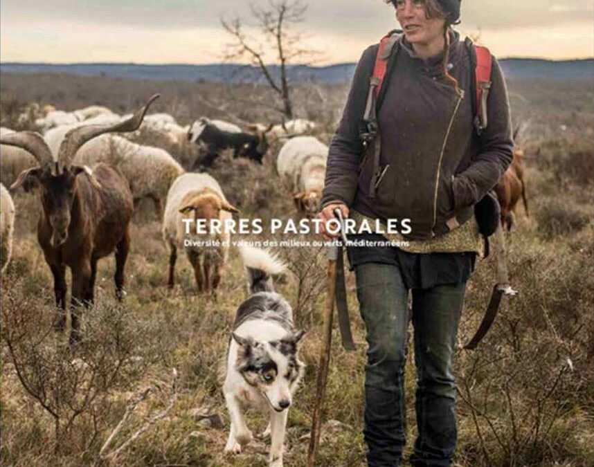 Livre Terres pastorales piloté par CEN Languedoc-Roussillon