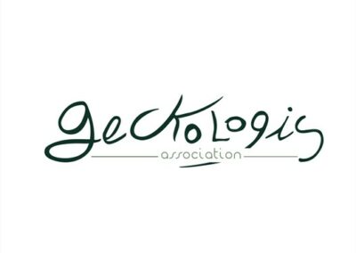 Geckologis