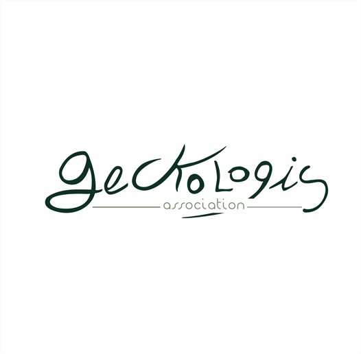 Geckologis